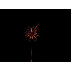 NICO Golden Rose, 13 Schuss – Bild 2