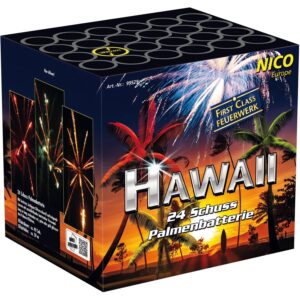 NICO Hawaii, 24 Schuss