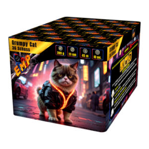 EMP Grumpy Cat